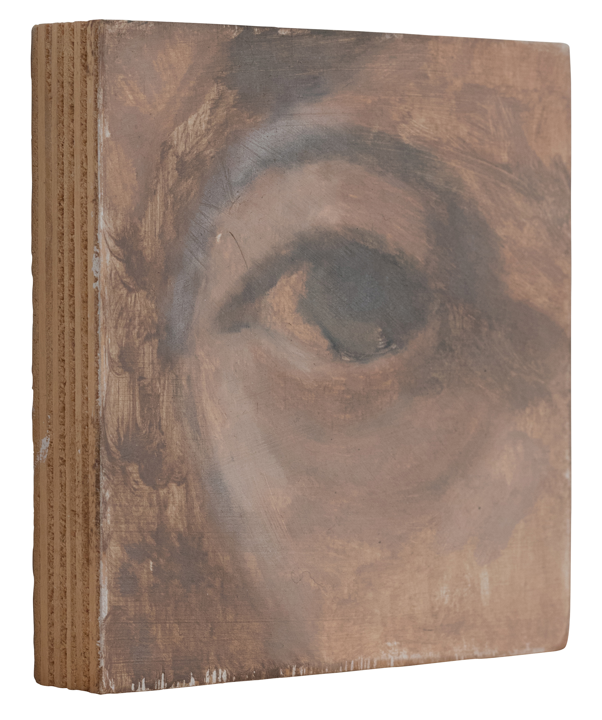 EYE STUDY - SIZE: 6 X 6 INCHES - OIL ON WOOD
